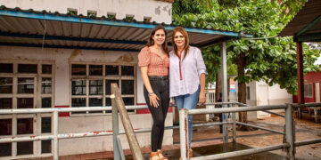 Van con proyecto de equinoterapia