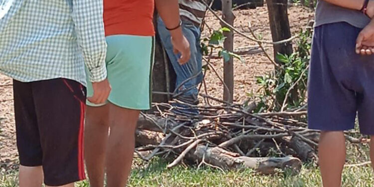 Capturado con las manos en la masa