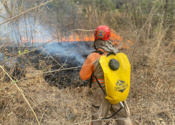 Dos muertos y dos detenidos por incendios
