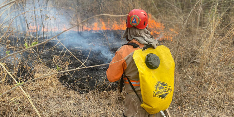 Dos muertos y dos detenidos por incendios