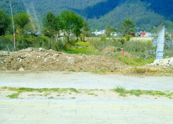 Destructores del medio ambiente