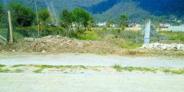 Destructores del medio ambiente