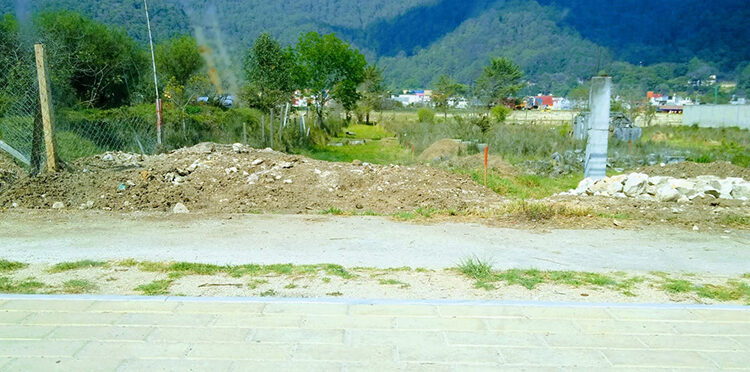 Destructores del medio ambiente