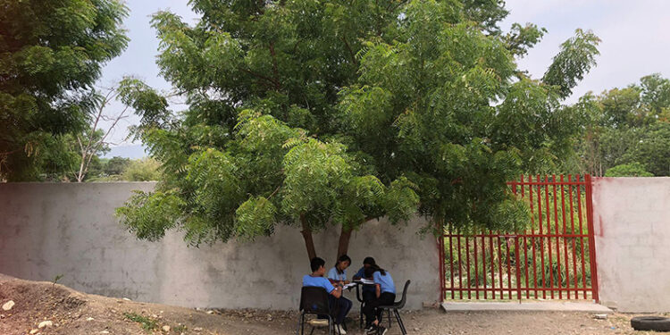 Alumnos reciben clases