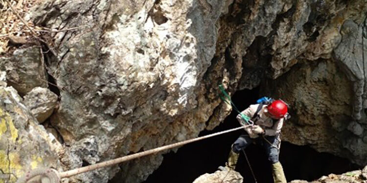 Descubren vestigios en cuevas