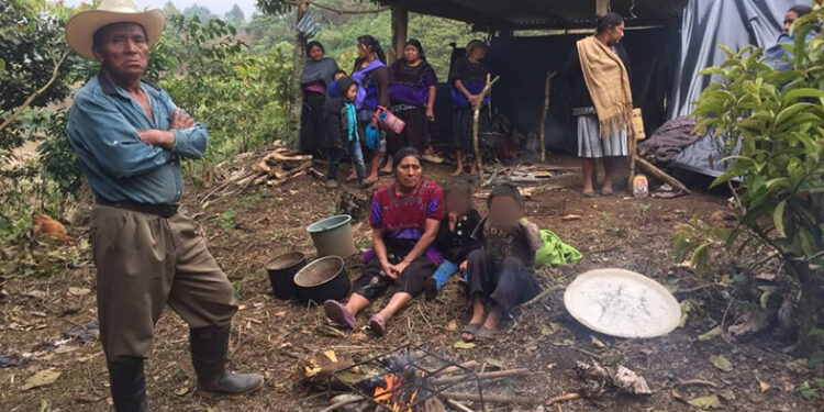 Tres estados tienen la mayoría de casos