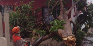 Pronostican lluvias fuertes e intensas