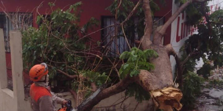 Pronostican lluvias fuertes e intensas