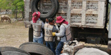 Continúa con acciones de descacharramiento