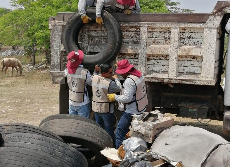 Continúa con acciones de descacharramiento