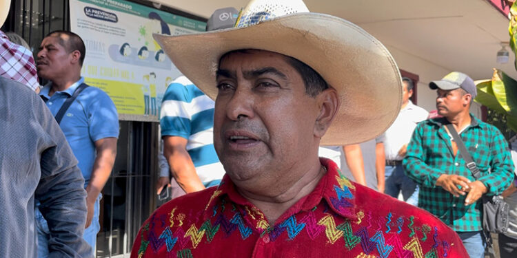 En riesgo la cosecha de maíz para autoconsumo