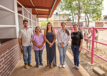 Equino terapia, servicio integral que prepara DIF