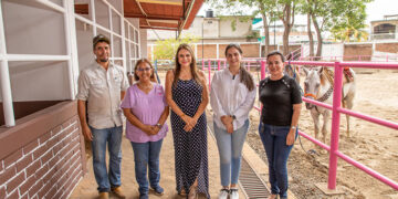 Equino terapia, servicio integral que prepara DIF