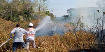 Se multiplicaron los incendios de pastizales