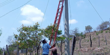 Se trabaja de manera firme