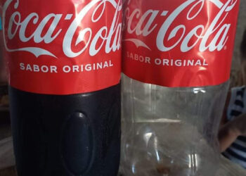 Coca pirata en la Lacandona
