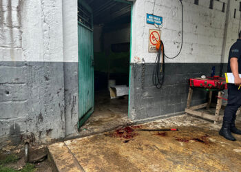Velador mata a presunto delincuente