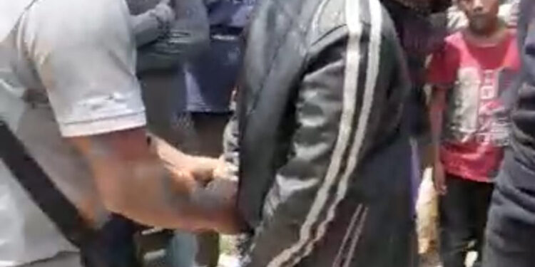 Amarrados como iguanas