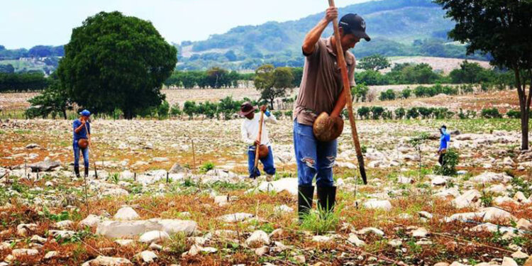 A la baja durante los primeros meses de 2023