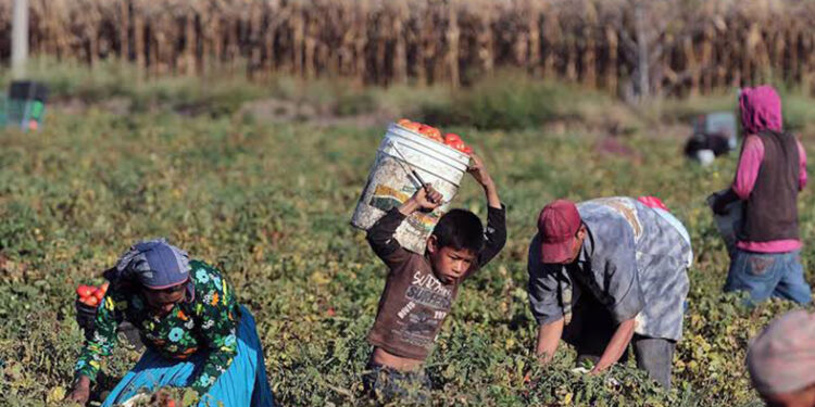 Chiapanecas, las que más migran hacia Canadá