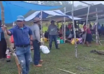 Regresan a sus tierras
