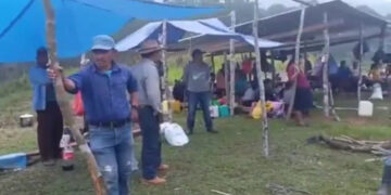 Regresan a sus tierras