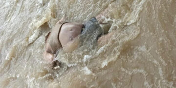 Pareja estaba desaparecida