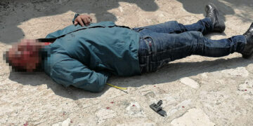 Lo dejaron “guapo” por rata