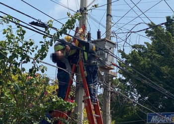 Quedó suspendido entre los cables