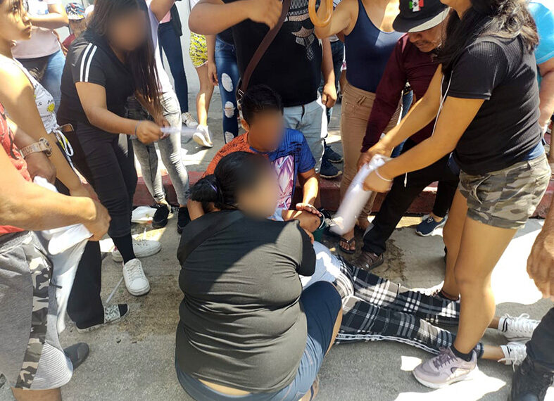 Se metió hasta la cocina