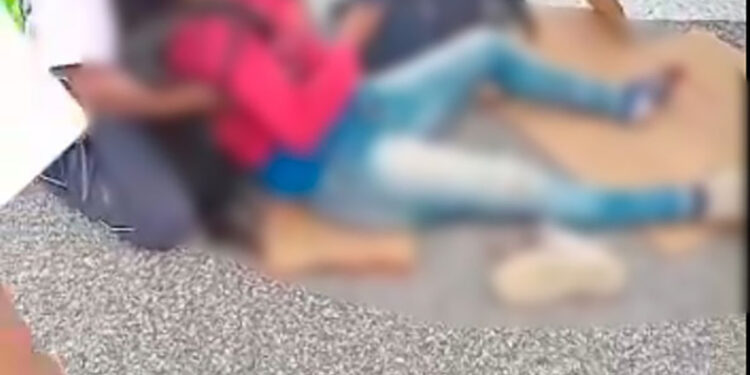 Embestida por una troca