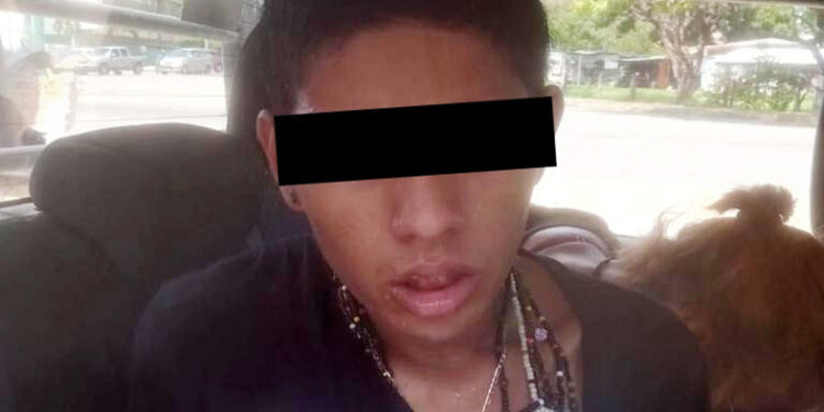 Cae par de “ratas colas peludas”