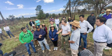 La agenda verde no puede esperar más