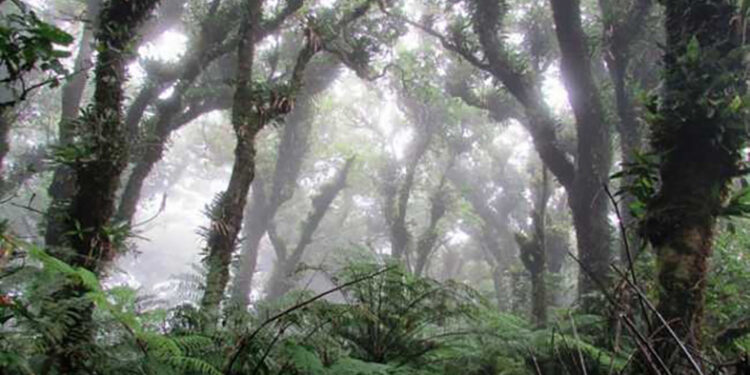Necesario vigilar conducta de turistas