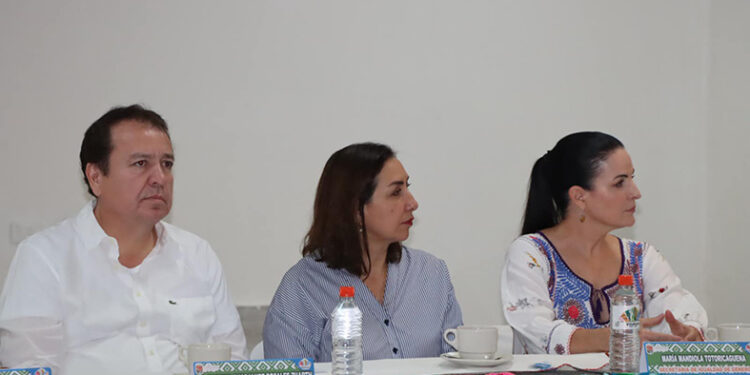 En seguridad, seguimos los principios de REC