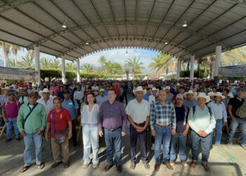 Entrega fertilizante a productores