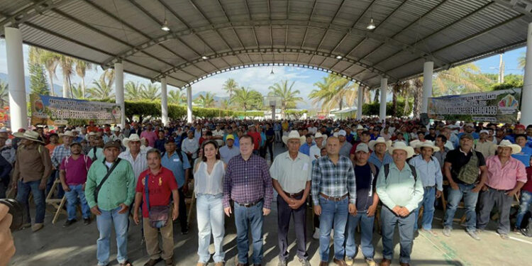 Entrega fertilizante a productores