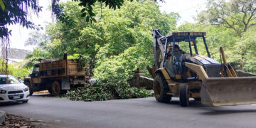Realizan limpieza y retiros de ramas