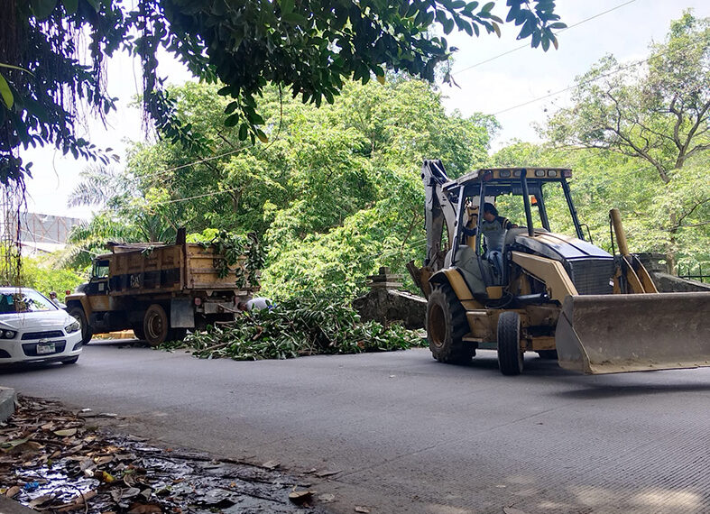 Realizan limpieza y retiros de ramas