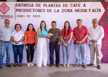 Apoyo a cafeticultores,es rescatar la identidad