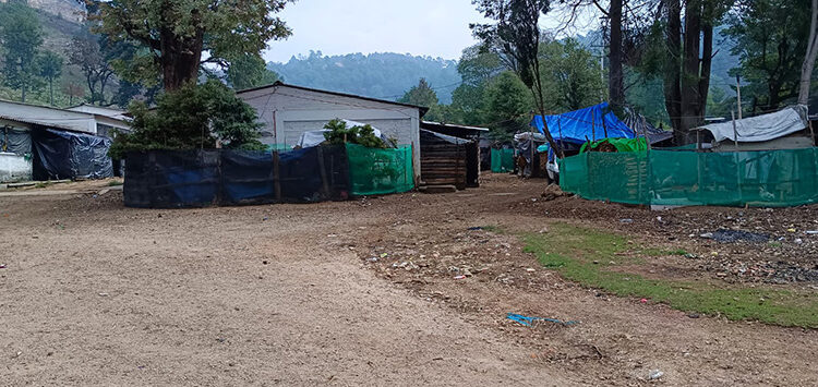 Más de 50 familias cumplen 7 años desplazados