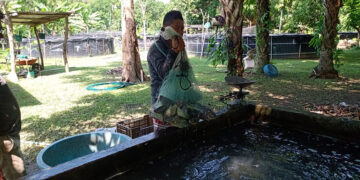 Pega el calor en la producción acuícola