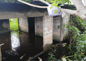 Dejó serias afectaciones en colonias