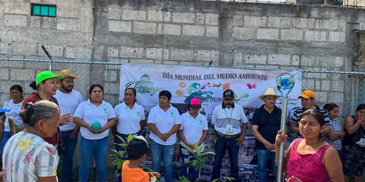 Realizan acciones a favor del medio ambiente