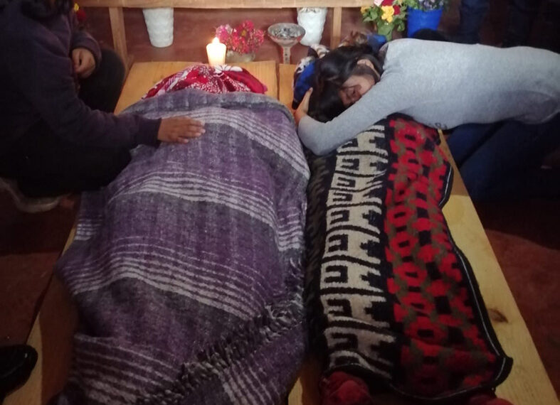 Mueren dos menores ahogados