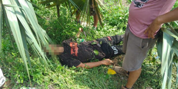 Lo dejaron “sombreando”