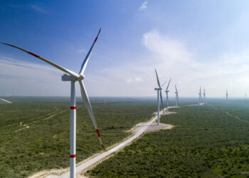 ECOLOGÍA HUMANA