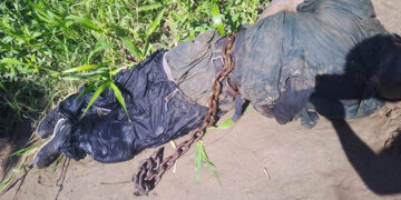 ¡Tenía una cadena amarrada!