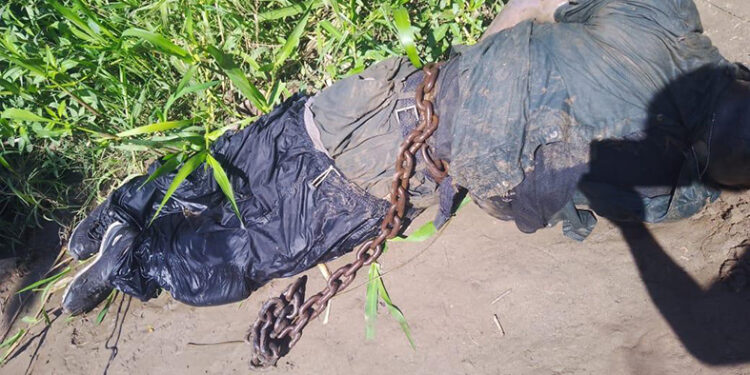 ¡Tenía una cadena amarrada!