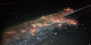 Más de 10 camiones le pasaron encima